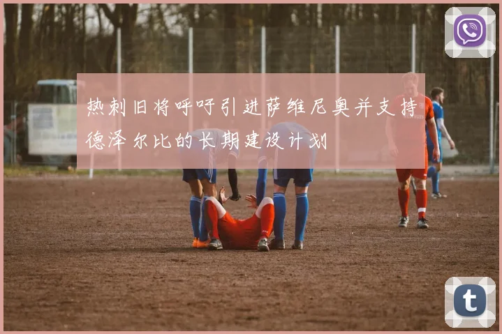 热刺旧将呼吁引进萨维尼奥并支持德泽尔比的长期建设计划