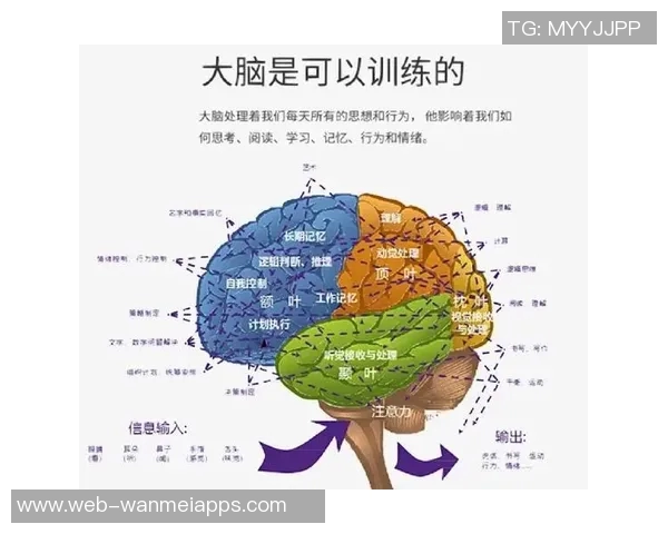 弗拉格:始终保持高能量与专注力的成功秘诀与实践经验分享 弗拉格:始终保持高能量与专注力的成功秘诀与实践经验分享